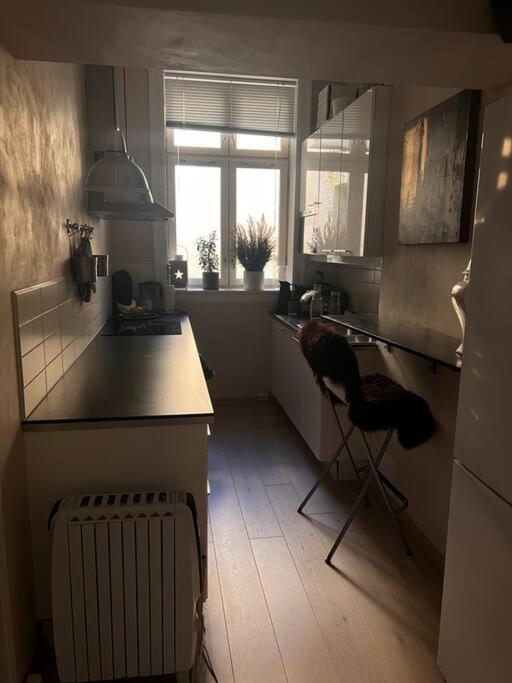 Royal Neighbourhood Elegant Flat In Central Oslo Kültér fotó